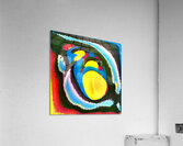 1243 8K Acrylic Print