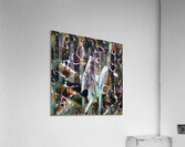 1242 8K Acrylic Print