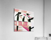 1270 8K Acrylic Print