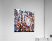 1267 8K Acrylic Print