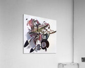 1251 8K Acrylic Print