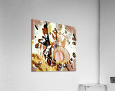 1306 8K Acrylic Print