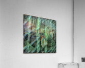 1291 8K Acrylic Print