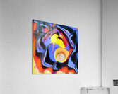 1277 8K Acrylic Print