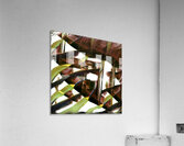 1271 8K Acrylic Print