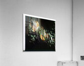 1309 8K Acrylic Print