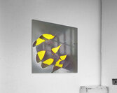 1325 8K Acrylic Print