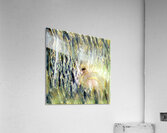 1327 8K Acrylic Print