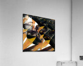 1330 8K Acrylic Print