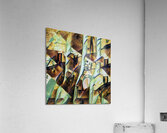 1338 8K Acrylic Print