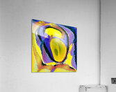 1329 8K Acrylic Print