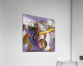 1322 8K Acrylic Print