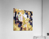 1318 8K Acrylic Print