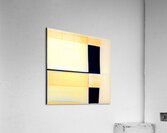 1349 8K Acrylic Print