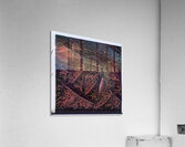 1352 8K Acrylic Print