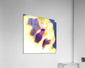 1362 8K Acrylic Print