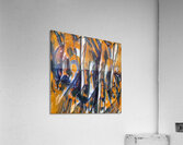 1360 8K Acrylic Print