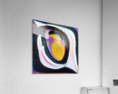 1368 8K Acrylic Print