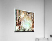 1355 8K Acrylic Print