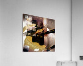 1356 8K Acrylic Print