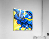 1353 8K Acrylic Print