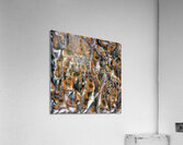 1370 8K Acrylic Print