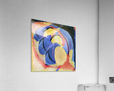 1424 8K Acrylic Print