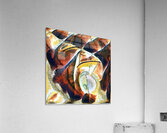 1408 8K Acrylic Print