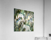 1392 8K Acrylic Print