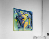 1411 8K Acrylic Print