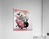 1404 8K Acrylic Print