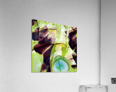 1445 8K Acrylic Print