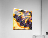 1466 8K Acrylic Print