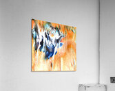 1450 8K Acrylic Print