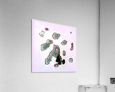 1464 8K Acrylic Print