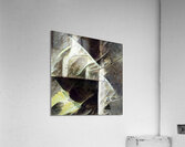 1446 8K Acrylic Print