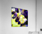 1440 8K Acrylic Print