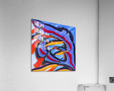 1438 8K Acrylic Print