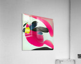 1444 8K Acrylic Print