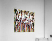 1452 8K Acrylic Print