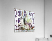 1451 8K Acrylic Print