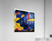 1482 8K Acrylic Print