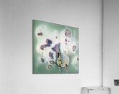 1488 8K Acrylic Print