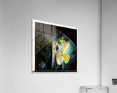 1503 8K Acrylic Print