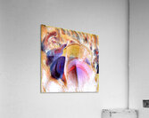 1514 8K Acrylic Print