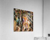 1532 8K Acrylic Print