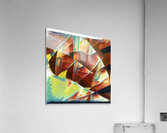 1546 8K Acrylic Print