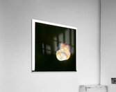 1516 8K Acrylic Print