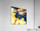 1521 8K Acrylic Print