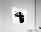 1518 8K Acrylic Print